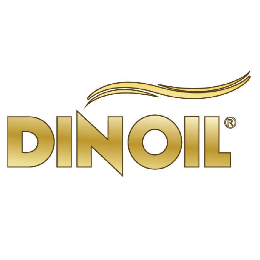 dinoil logo grande